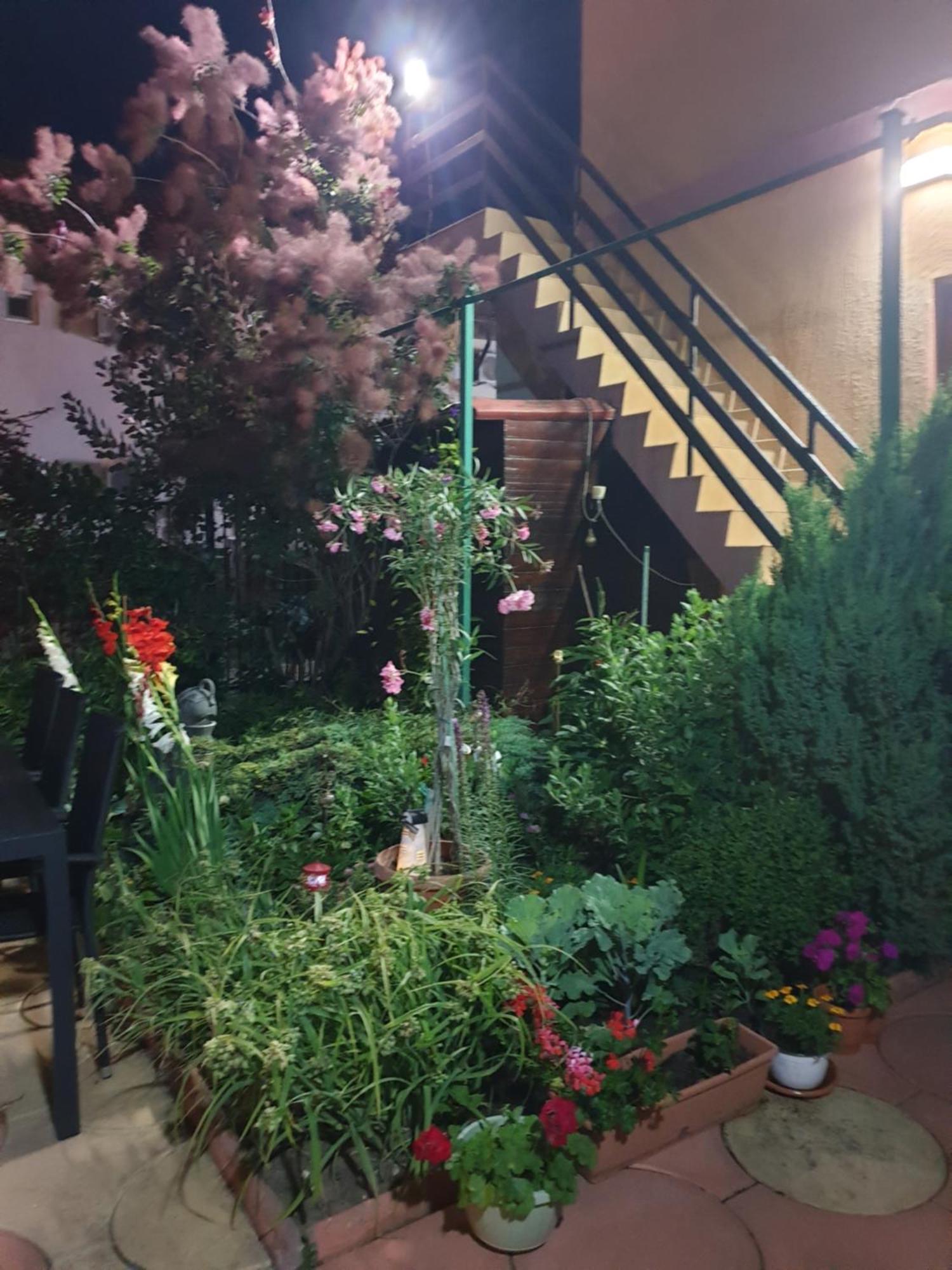 Hotel Casa Mary Costinești Exterior foto